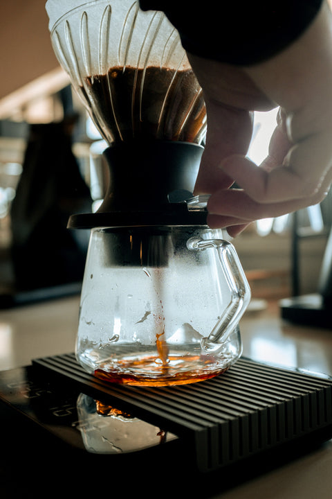 Coffee 102: Brewing Fundamentals | June 20th, 9am