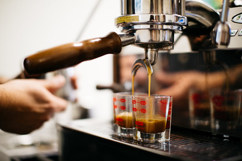 Coffee Shop + Roastery in the heart of Colorado Springs Hold Fast