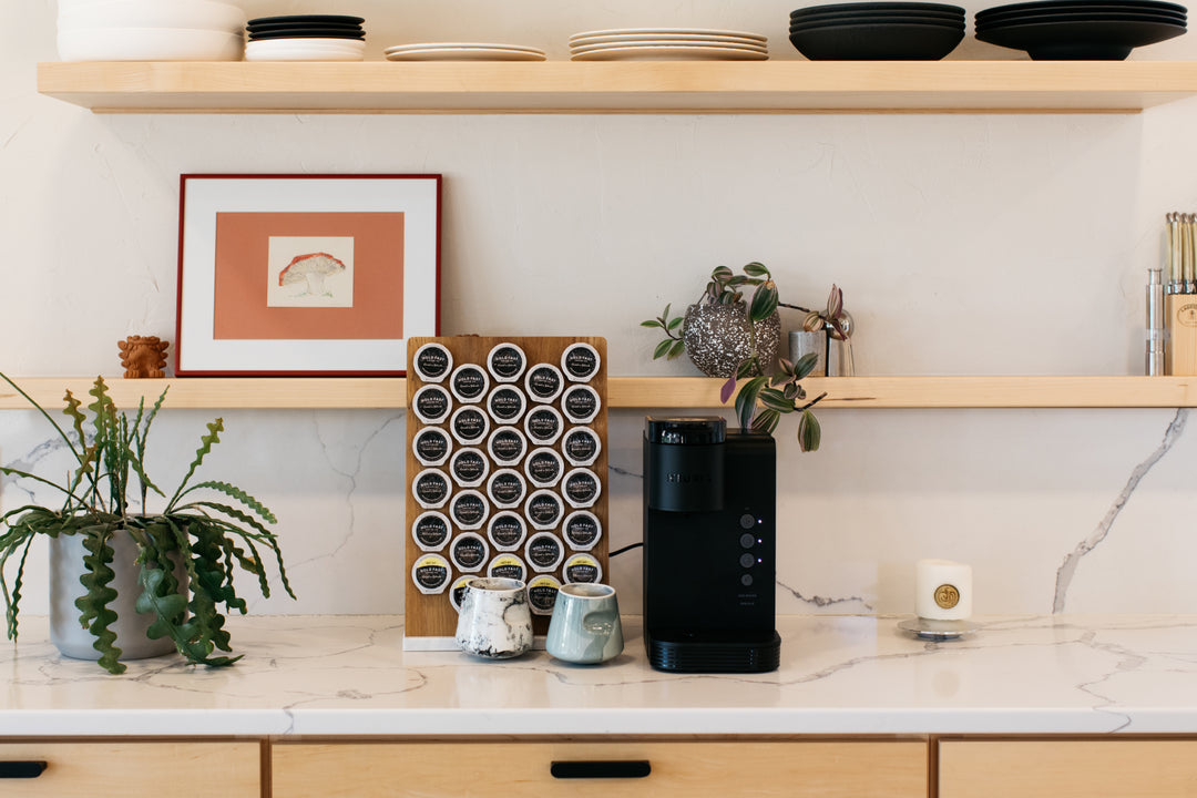 Pods (Hospitality) Hold Fast Coffee Co